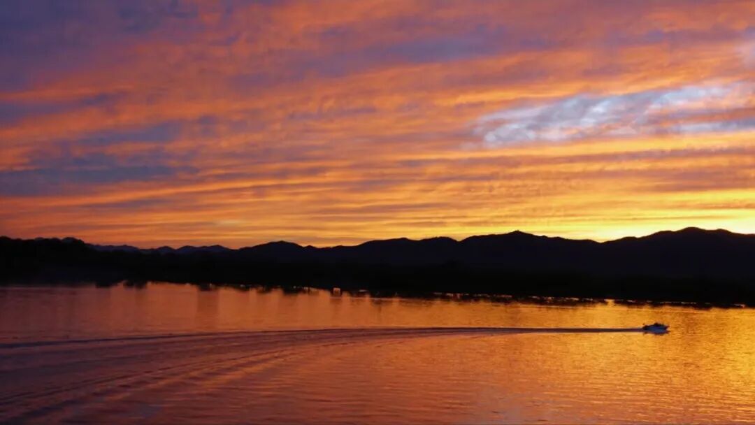 1758788833318019514.jpeg 1758788833318019514.jpeg