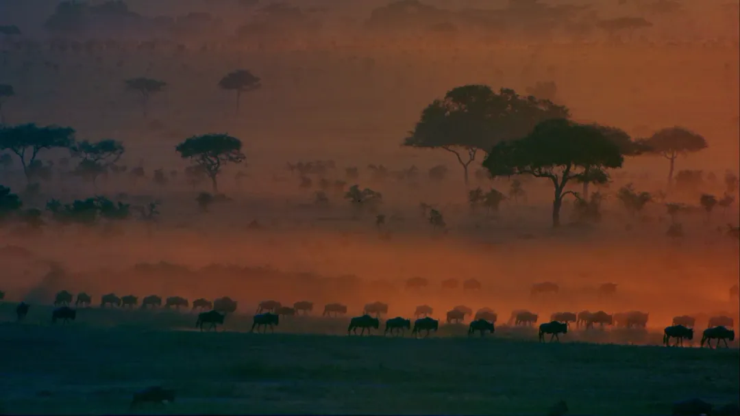 1759395741643038360.jpg 1759395741643038360.jpg