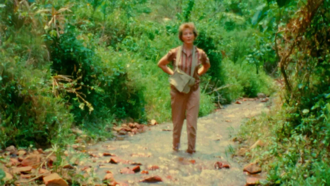 1759395787329019399.jpg 1759395787329019399.jpg