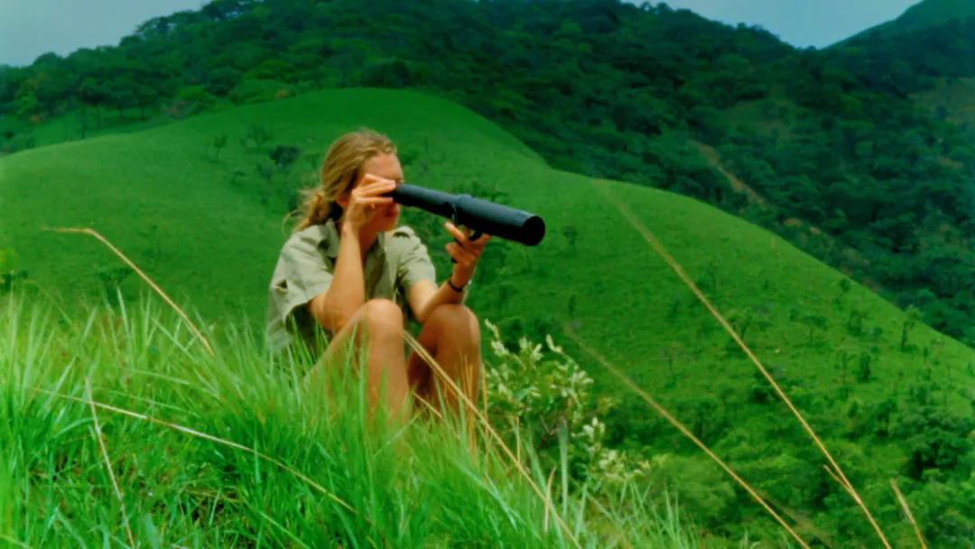 1759395846976032151.jpg 1759395846976032151.jpg