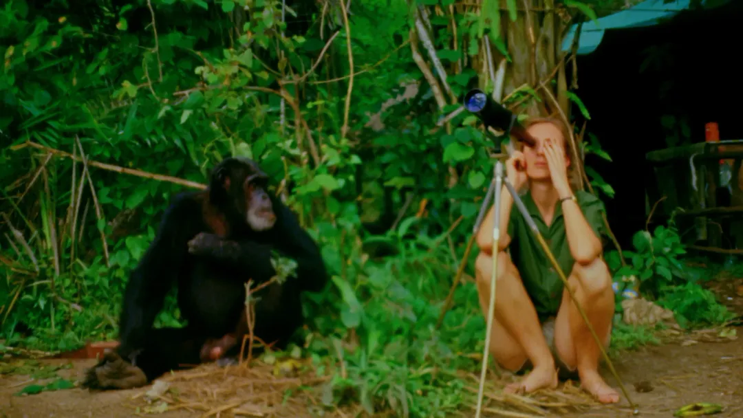 1759395942536064007.jpg 1759395942536064007.jpg