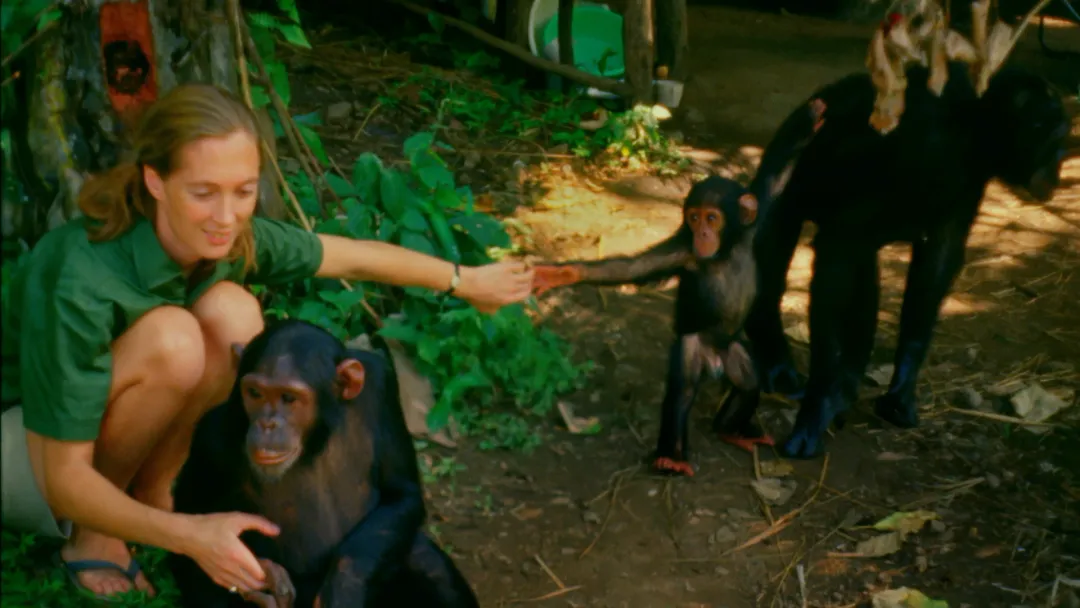 1759395966808060237.jpg 1759395966808060237.jpg