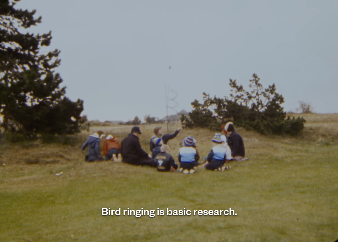 1761723783826044039.png 1761723783826044039.png