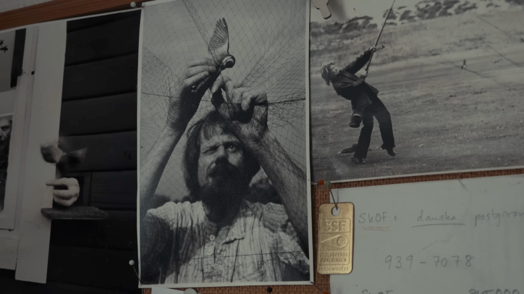 1761724327378041268.png 1761724327378041268.png