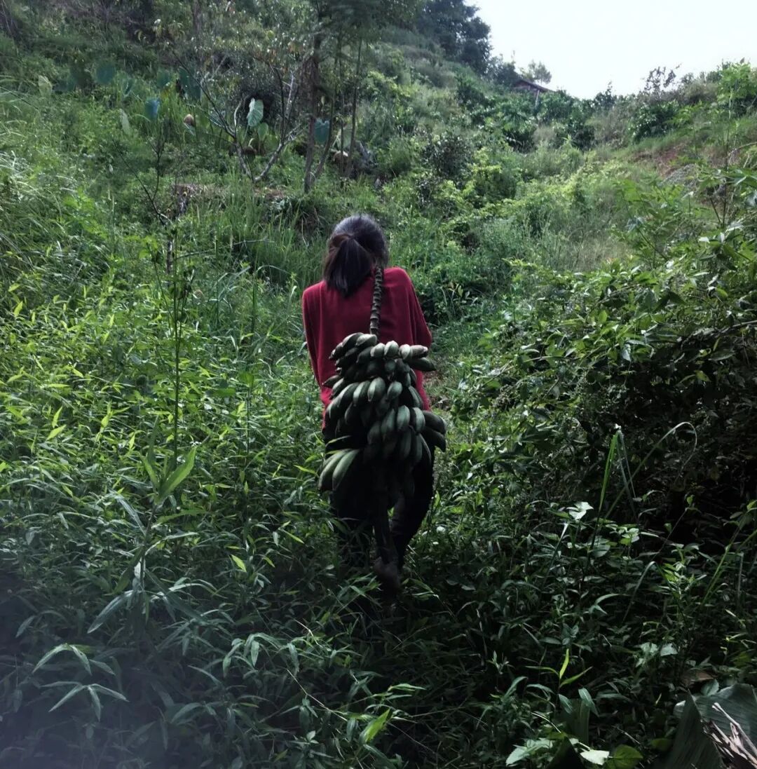 1762256091641086510.jpeg 1762256091641086510.jpeg