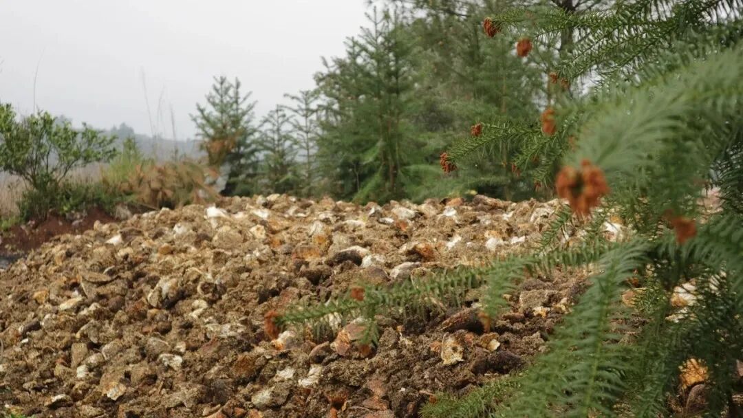 1762256321552001500.jpeg 1762256321552001500.jpeg