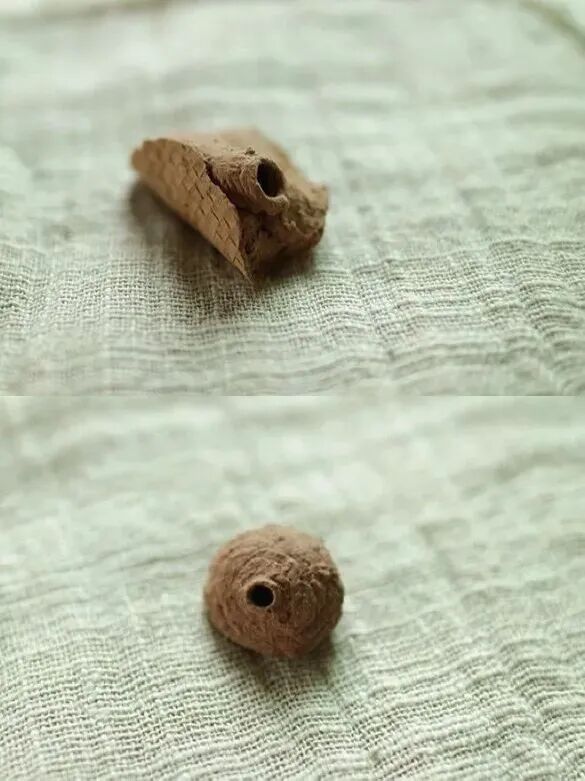 1762256397542084224.jpeg 1762256397542084224.jpeg