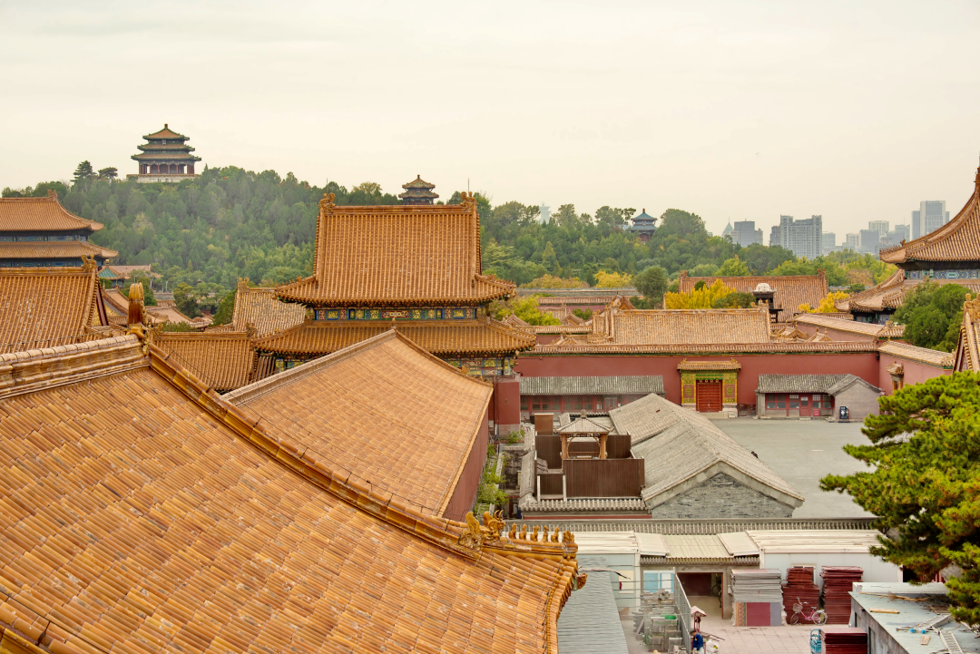 1764660879825001667.png 1764660879825001667.png