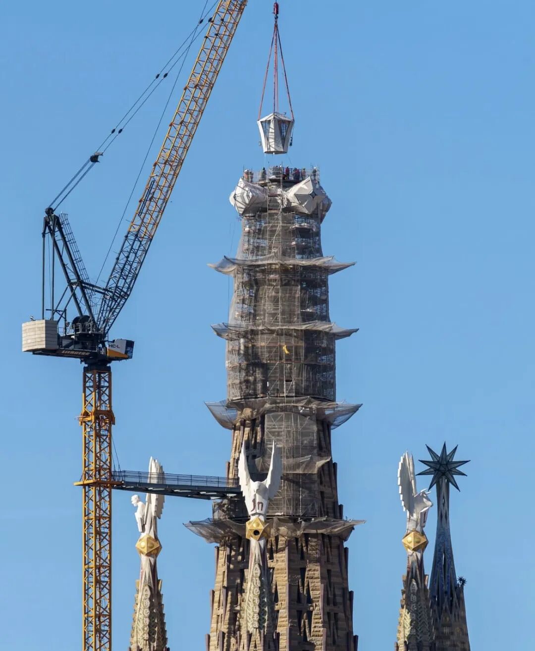 1771728365794041231.jpeg 1771728365794041231.jpeg