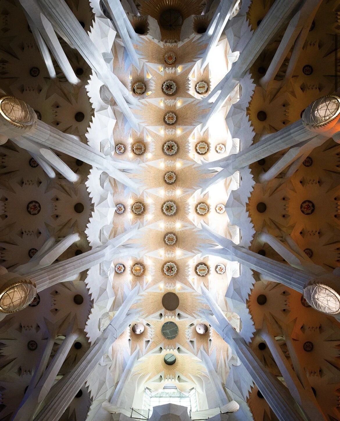 1771728431503018258.jpeg 1771728431503018258.jpeg