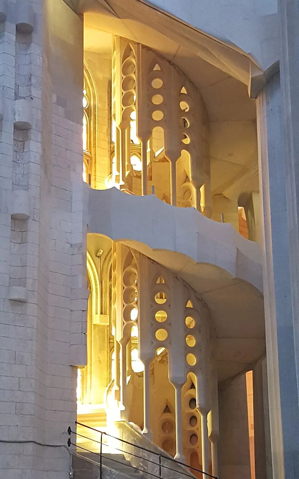 1771728455117088724.jpeg 1771728455117088724.jpeg