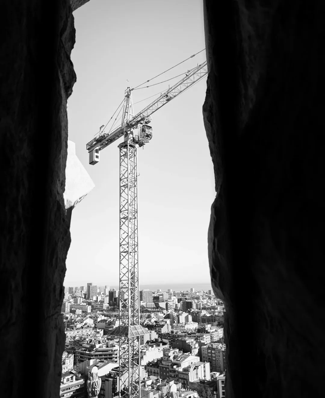 1771728735341022997.jpg 1771728735341022997.jpg