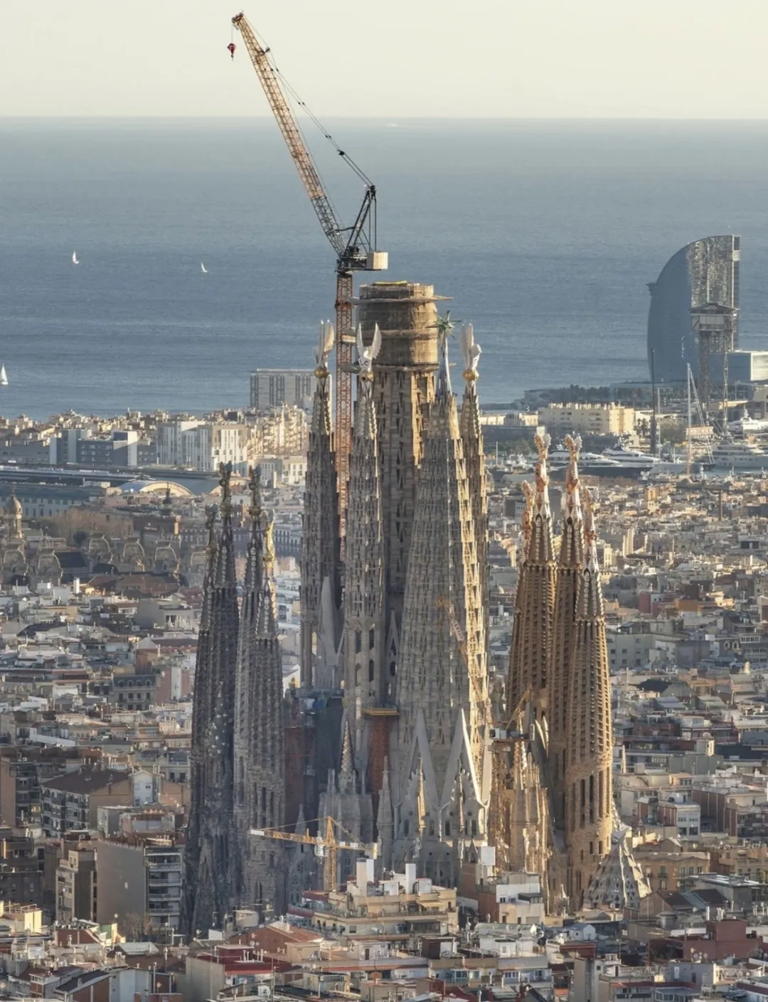 1771728812855077119.jpg 1771728812855077119.jpg